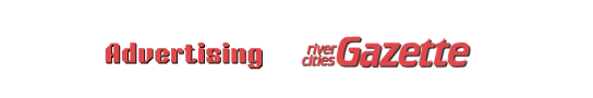 Website developer